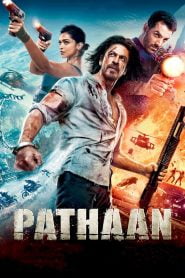 Pathaan 2023 BluRay 480p 720p 1080p Hindi DD 5.1 x264 ESub Download