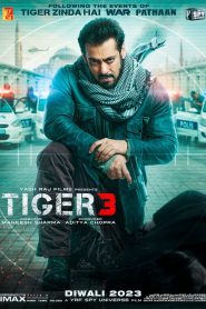 Tiger 3 2023 WEB-DL Hindi 480p 720p 1080p Download