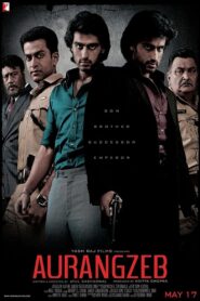 Aurangzeb 2013 Watch Online And Download WEB-DL Hindi Esub 480p 720p 1080p