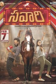 Savaari 2020 Watch Online And Download WEB-DL Hindi Esub 480p 720p 1080p